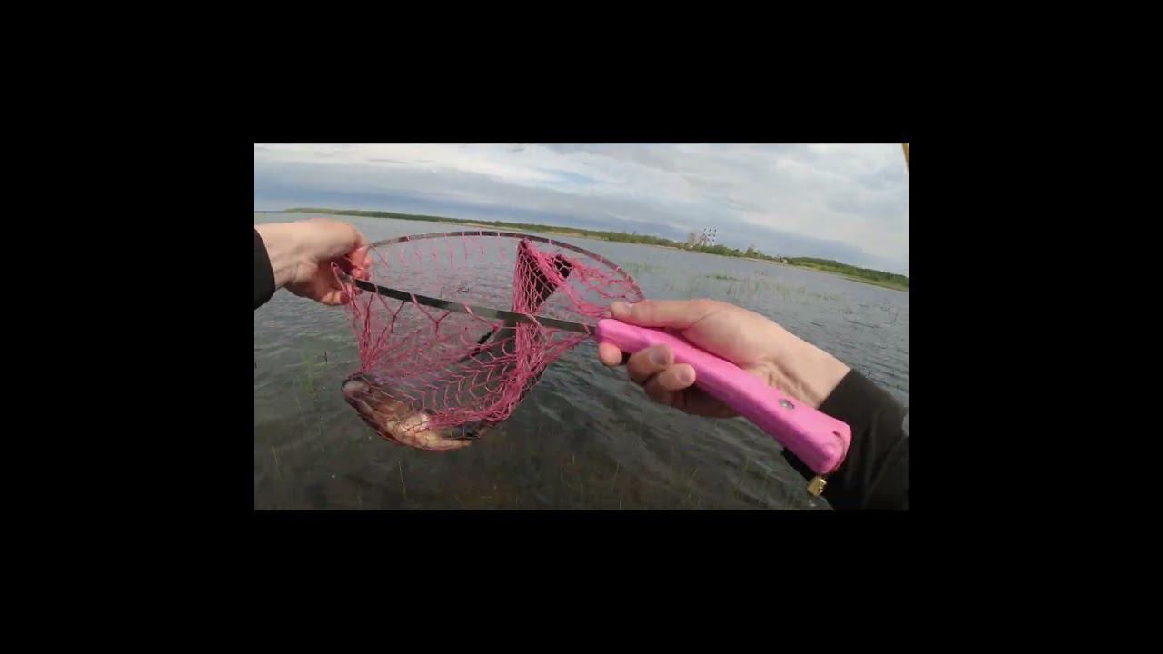 #мормышинг | Черный ЛЕЩ | смотреть онлайн