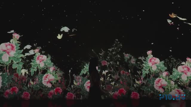 Фрагмент выставки цифрового искусства 