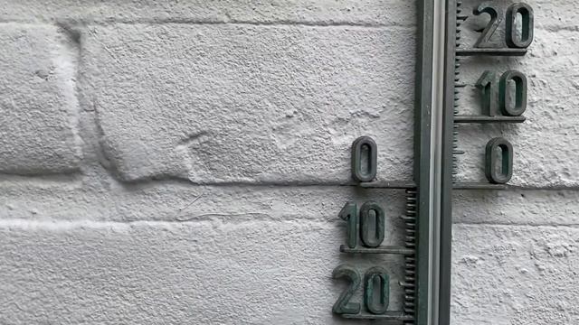 Greenhouse 2: timelapses and snow storms | episode 2 | Plant with Roos смотреть онлайн