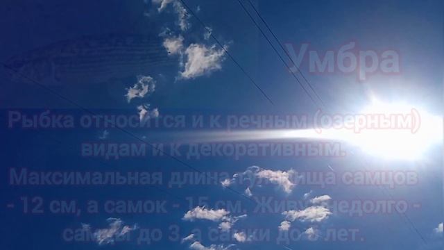 МАЛОИЗВЕСТНЫЕ РЫБЫ РОССИИ. Интересные факты. Рыбалка ловля