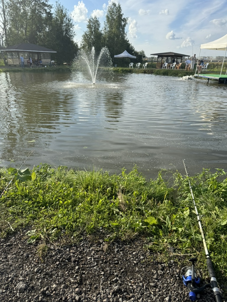 Ловим рыбу