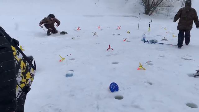 Онлайн основной водоем