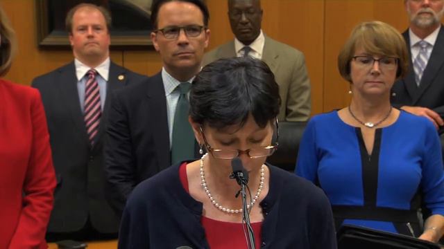 Susan Brown, Presiding Judge of District Criminal Courts, Harris County, Texas смотреть онлайн