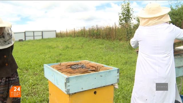 Ноу-хау пчеловода Владимира Чеканова | Элита | ТВР24 | Сергиев Посад смотреть онлайн