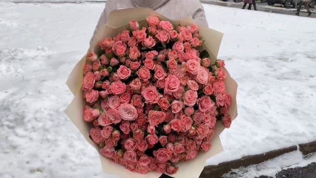 51 кустовая роза Мадам Бомбастик смотреть онлайн