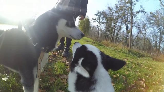 АВГУСТ И РАГНАР!!! ОЧЕНЬ КЛАССНОЕ ВИДЕО!!!