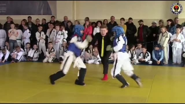 Соревнования по Тэкэндо (26.04.2015) 8-11 лет смотреть онлайн