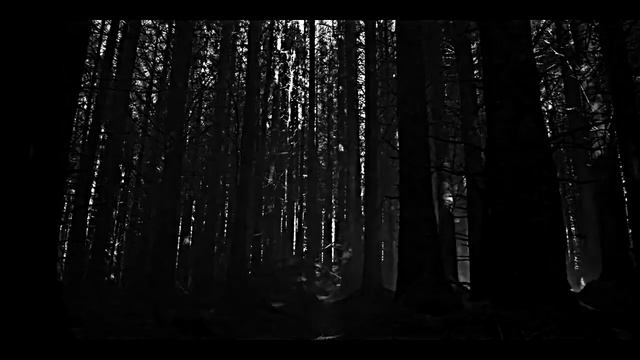 Bloom|Control [Fate: The Winx Saga] ××°Блум|Control°××