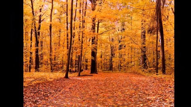 Осенний романс ("Обрываются речи влюбленных...") ст. Н.Заболоцкого, муз. А.Крамаренко смотреть онлайн