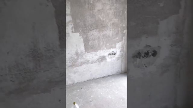 Алматы жк Арбат смотреть онлайн
