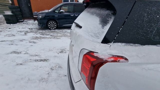 КРАТКИЙ ВИДЕООБЗОР HYUNDAI PALISADE 2019 ГОДА, ДВС 2200 СС, 4 ВД смотреть онлайн