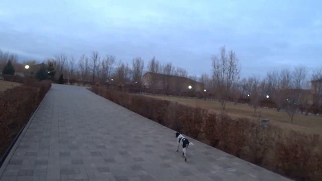 Azimut Отель Волга Астрахань, Маково - Отзыв 2020 смотреть онлайн