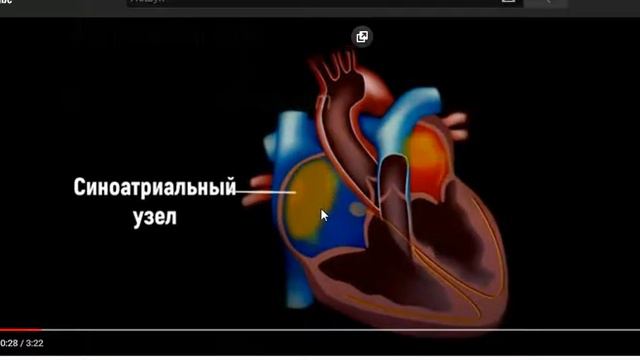 Запис 2020 04 19 15 58 08 887 смотреть онлайн