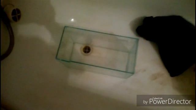Чищу аквариум для рыбки смотреть онлайн