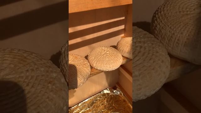 Копченый сыр из козьего молока. Сыр адыгейский. Сделан с любовью ❤️ смотреть онлайн
