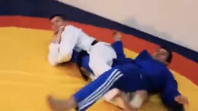 Белый лотос смотреть онлайн