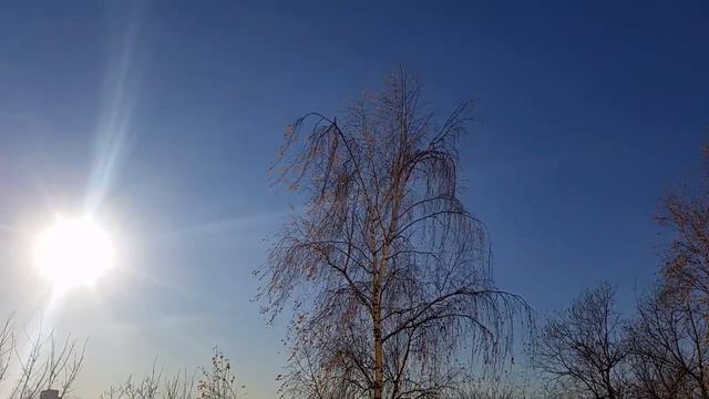 Сенсация вот таким будет день 8 11 17 прогноз с 4 смотреть онлайн