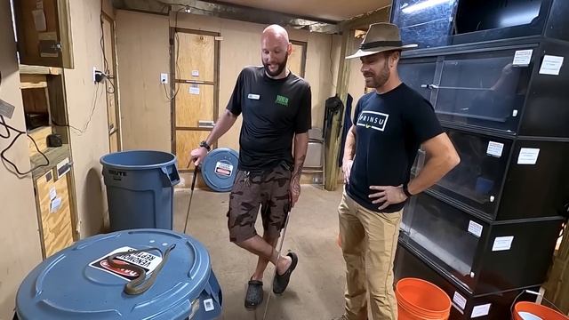 Venomous Snakes Maintenance at Wild Florida! смотреть онлайн