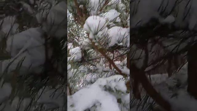 "Замело" Александр Бардин(группа"САДко") смотреть онлайн