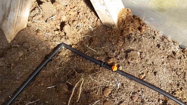 Капельный полив Жук смотреть онлайн