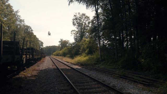 Cartoon Mouse Vs Long Horse