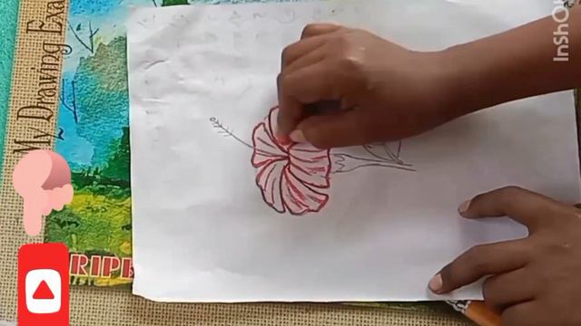 How to draw hibiscus flowers drawing 🎨 oil pastel colours 😱😱😱 смотреть онлайн