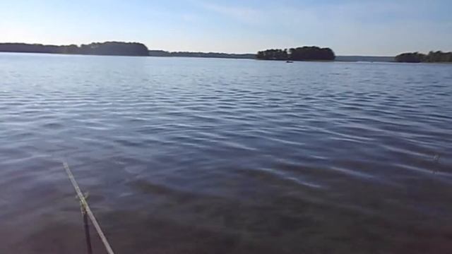 рыбалка на фидер на Мядельском озере смотреть онлайн