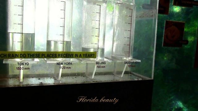 Singapore. Мини антилопы и животные со всего мира. смотреть онлайн