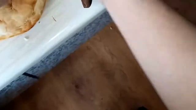 Фотография Природы и Ландшафтов