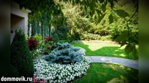 50 идей ландшафтного дизайна своими руками