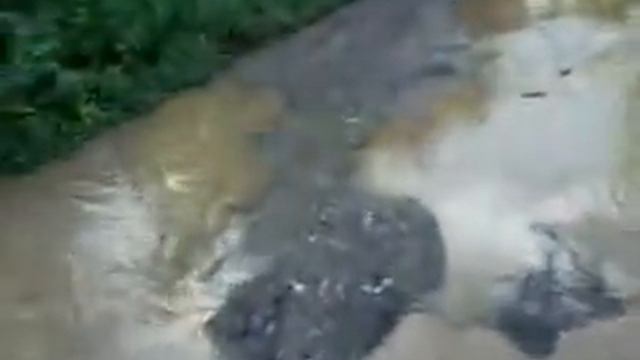 потоп казахстан карабулак наводнение смотреть онлайн