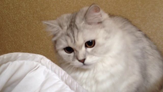 Самые красивые глаза смотреть онлайн