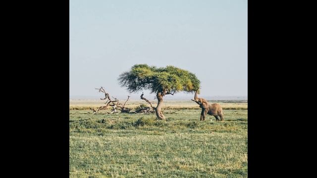 Мастер-Классы по Рукоделию и Творчеству