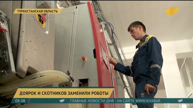 В Туркестанской области доярок и скотников заменили роботы смотреть онлайн