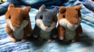 Говорящий хомяк-повторюшка