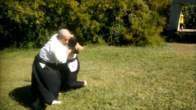 Aikido no Parque смотреть онлайн