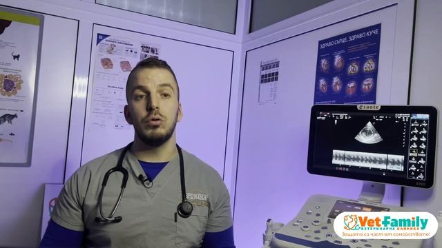 ТОП 10 НАЙ-ОПАСНИ ХРАНИ, КОИТО МОГАТ ДА УБИЯТ ТВОЕТО КУЧЕ! Top 10 dangerous foods killing your dog смотреть онлайн