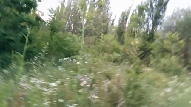 Через джунгли Кишинёва до другого района *) смотреть онлайн
