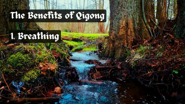 What is Qigong? What is Qi? What is Gong? | History + Benefits of Blue Dragon Medical Qigong 23/202 смотреть онлайн