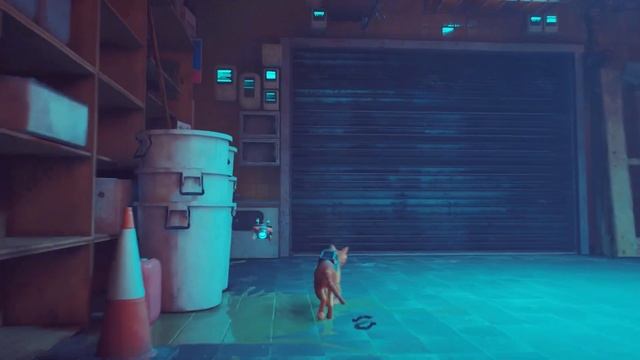 Stray #11 - Let's party like a Kitty смотреть онлайн