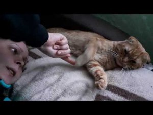 Жизнь простых людей в деревне. Проводила своих , вновь иду на тихую охоту.