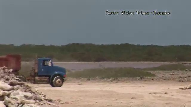 Bonaire Eco Rape смотреть онлайн