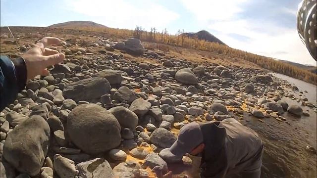 Hucho Taimen Fly Fishing in Mongolia 2012 смотреть онлайн