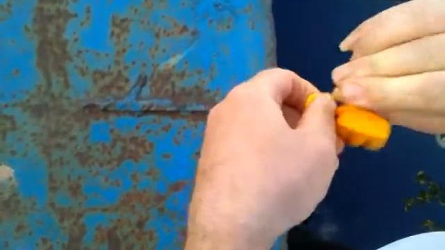 подводная охота. куда спрятать ключи от машины? смотреть онлайн