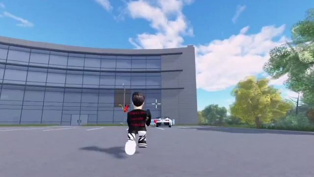 Types of Private Server Players | ERLC Roblox смотреть онлайн
