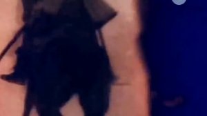 Денис Давыдов краткая история