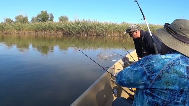 Обалденная Рыбалка на Вышке 2020. Астрахань. Волга. Бахтимир. смотреть онлайн