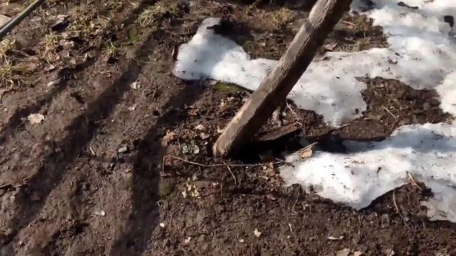 Mar 18, 2017 Тает снег. Растет рассада- скоро пикировать смотреть онлайн