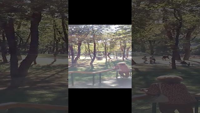 Очень красивый Парк возле озера в городе Раменское