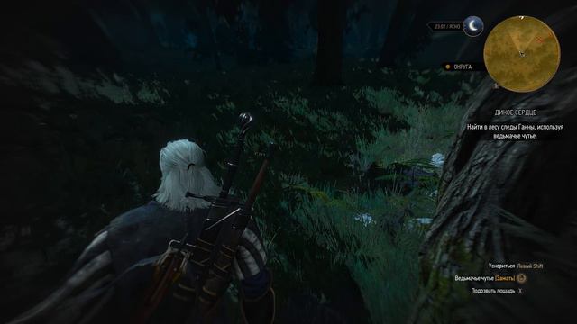 ОХОТА НА ОБОРОТНЯ The Witcher 3: Wild Hunt #19 смотреть онлайн
